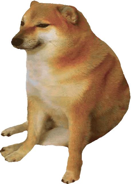 Bonk It Online 💥 | Doge Much Wow