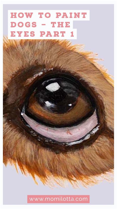 How to paint dogs – The eyes part 1 | Dog portraits art, Pet portrait ...