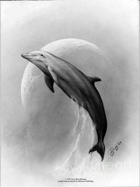 Free Dolphin Drawings, Download Free Dolphin Drawings png images, Free ClipArts on Clipart Library