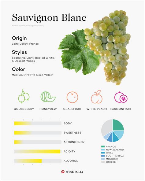 The Comprehensive Guide to Sauvignon Blanc | Wine Folly