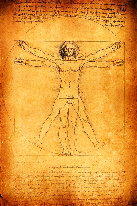 Did Leonardo da Vinci Copy his Famous 'Vitruvian Man'? | Live Science