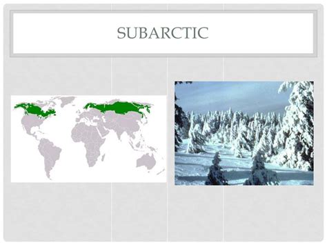 PPT - CLIMATE PowerPoint Presentation, free download - ID:6560886