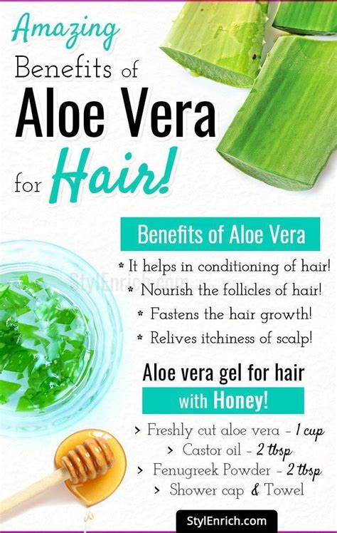 Aloe Vera For Hair Growth - Let's Know the Amazing Benefits of It! - Why Should...#aloe #amazing ...