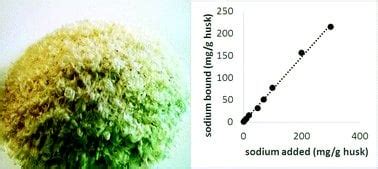 Sodium ion interaction with psyllium husk (Plantago sp.) (2016) : r ...