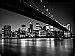 Manhattan Skyline Wall Mural DM119 Black and White |Full Size Large Wall Murals |The Mural Store