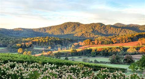 Top Charlottesville, VA Attractions | Historical Sites & Wineries