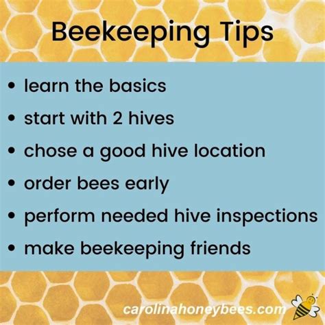 Beekeeping for Beginners - Carolina Honeybees