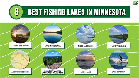 The 8 Best Fishing Lakes in Minnesota (And the Types of Fish to Expect!) - A-Z Animals