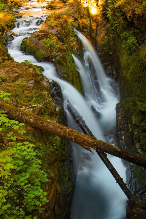 Waterfall in Olympic National Park - | Scenic waterfall, National parks, Olympic national park