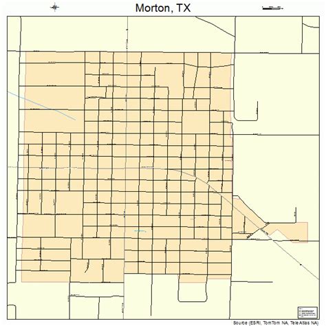 Morton Texas Street Map 4849464