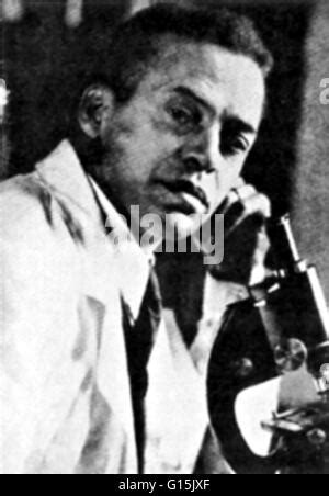 Ernest Everett Just, American Biologist Stock Photo - Alamy