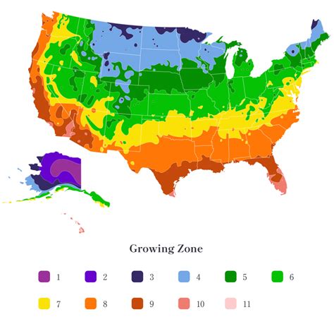 Gardening Zone Map 2024 - Polly Camellia