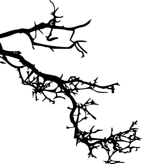 Branch Silhouette Png