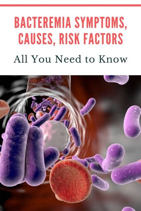 Bacteremia Symptoms, Causes, Risk Factors - All You Need to Know | Risk factors, Symptoms ...