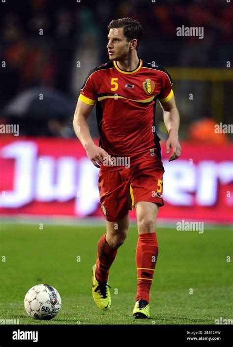 Jan Vertonghen, Belgium Stock Photo - Alamy