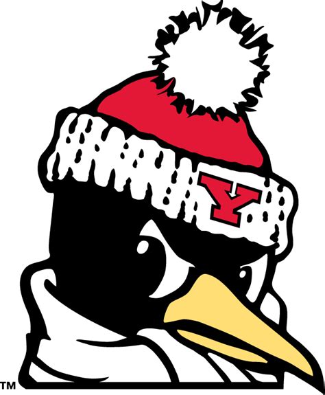 Youngstown State Penguins Alternate Logo - NCAA Division I (u-z) (NCAA ...