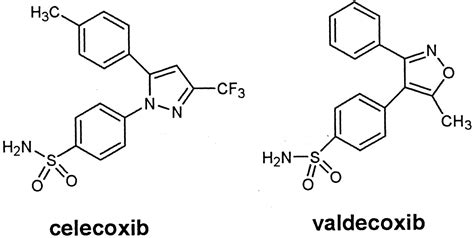 Disposition of a Specific Cyclooxygenase-2 Inhibitor, Valdecoxib, in Human | Drug Metabolism ...