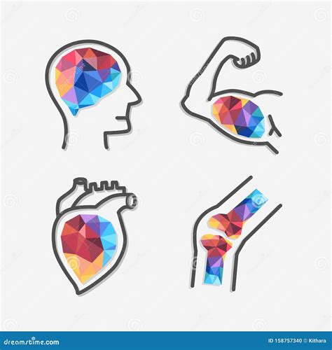 Set of Organs Design Conceptual Polygon Style, Smart Brain, Strong Healthy Heart, Powerful ...