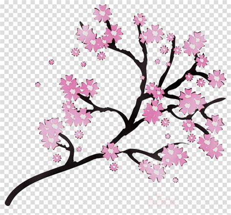 Cherry Blossom Drawing Png / Cartoon Cherry Blossom - ClipArt Best - free for commercial use ...