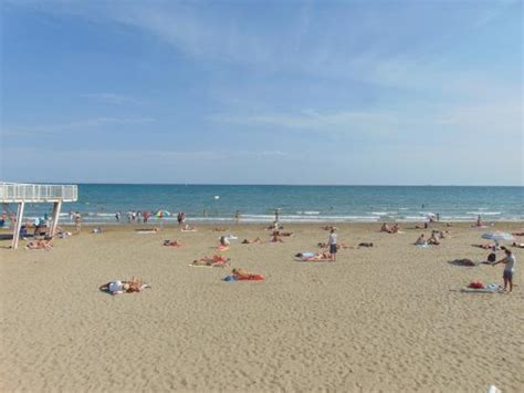 Nice relaxing day! - Reviews, Photos - Blue Moon Beach - Tripadvisor