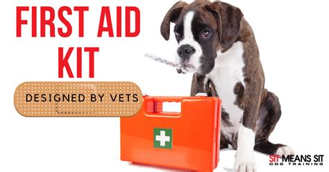 Canine First Aid Kit Designed by Vets - Sit Means Sit Dog Training Asheville