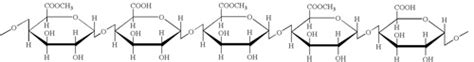 Chemical and Physical Properties of Pectin in Cooking