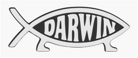 Darwin Bumper Sticker , Free Transparent Clipart - ClipartKey