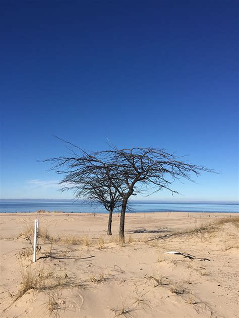 Muskegon State Park – Float My Event