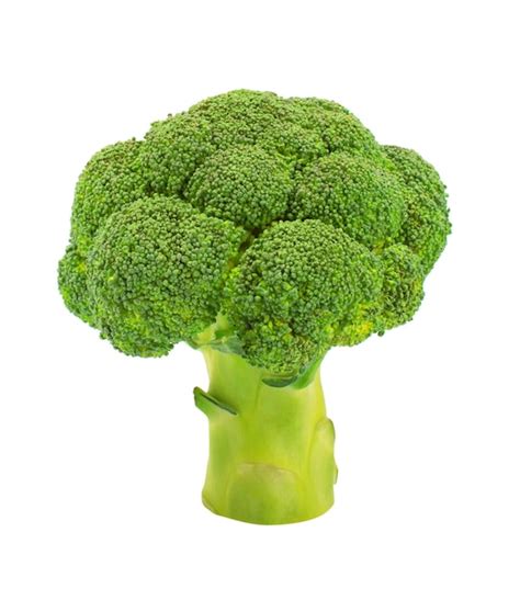 Premium Photo | Broccoli on white isolated