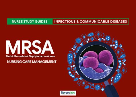 Methicillin-Resistant Staphylococcus Aureus (MRSA) - Nurseslabs