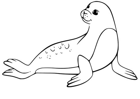 Seal Smiling