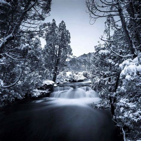 Tasmania in winter | Outdoor, Tasmania, River