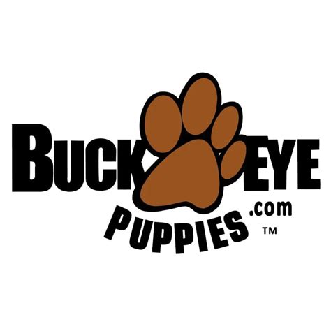 Buckeye Puppies Review [Should You Use Their Service?] » Pet Educate