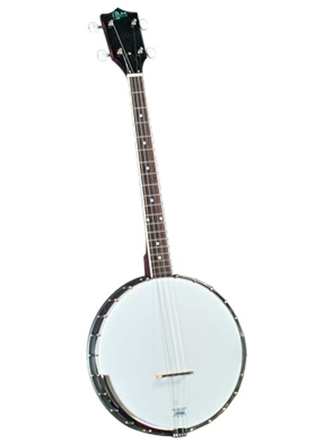 Rover RB-20T Open Back Tenor Banjo | Banjo.com