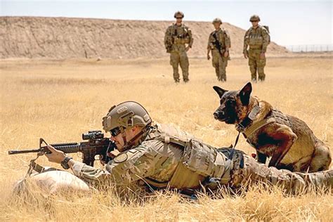 DVIDS - News - Event to showcase military working dogs