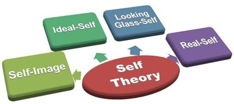 What is Self Theory? definition and meaning - Business Jargons