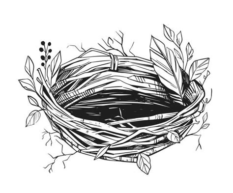 5,200+ Empty Bird Nest Stock Illustrations, Royalty-Free Vector ...