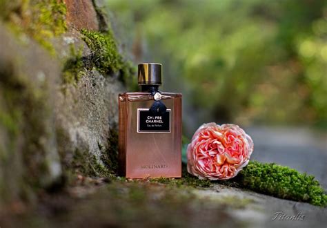 Chypre Charnel Molinard perfume - a fragrance for women 2015