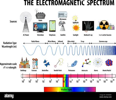 Science Electromagnetic Spectrum diagram illustration Stock Vector ...