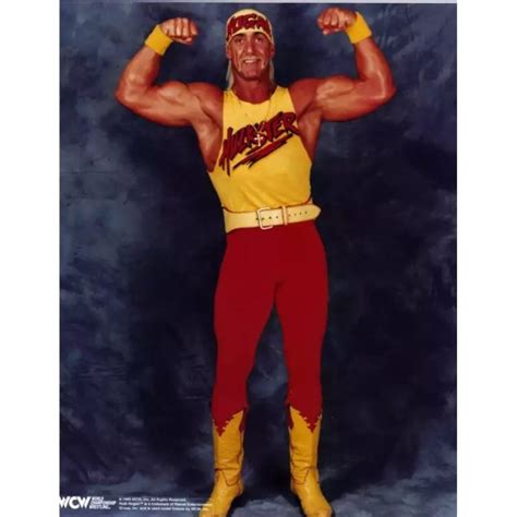 Hulk Hogan Costume - Fancy Dress - Cosplay