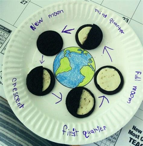 Oreo cookie moon phases activity free worksheet – Artofit