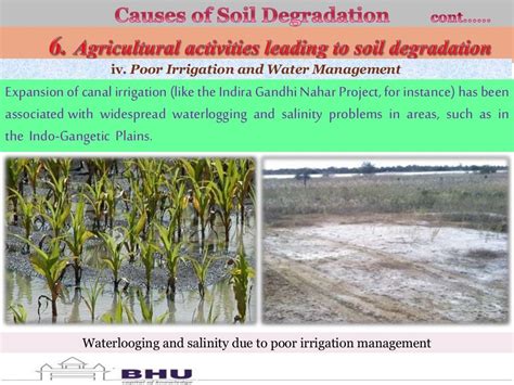 Soil Degradation in India: Challenges and Potential Solutions