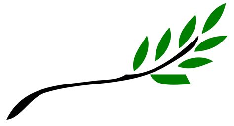File:Olive branch.svg - Wikimedia Commons
