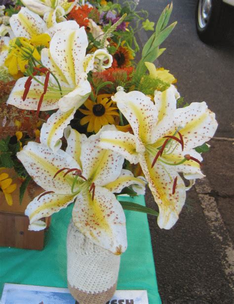 sample bouquet 14 - Glorious Daylily Farm