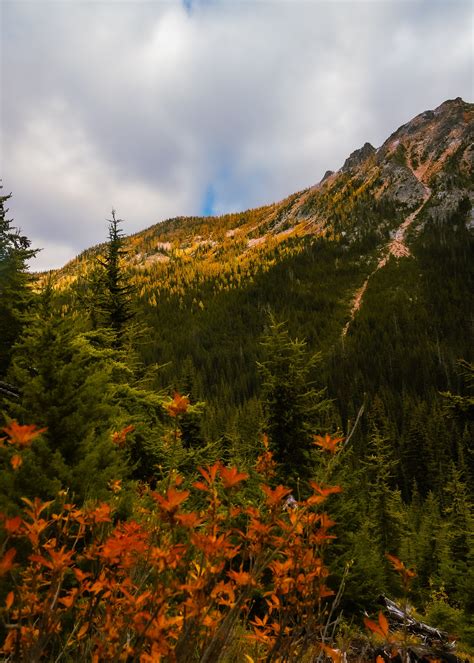 Majestic Mountains Seen from Road · Free Stock Photo