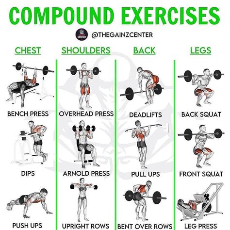 KEY COMPOUND EXERCISES ... | Compound exercises, Workout program gym ...