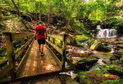 Five Great Central PA Hikes to do This Season - Experience Columbia ...