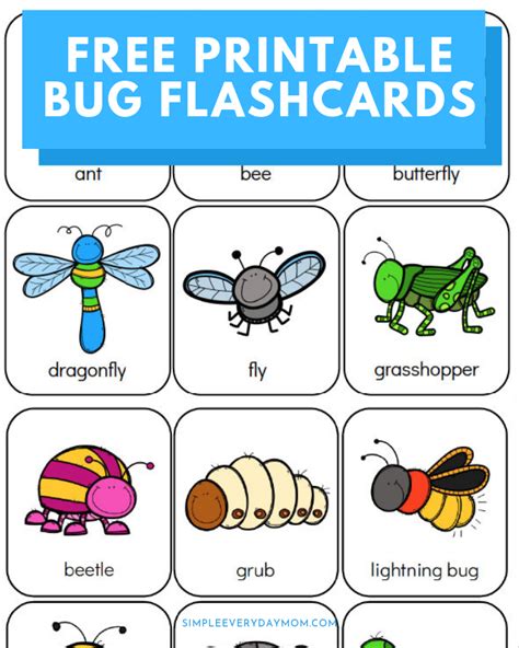 Printable Preschool Bug Activities For Kids | Bugs preschool, Bug ...