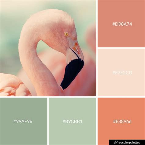 Flamingo | Pink and Green |Color Palette Inspiration. | Digital Art Palette And Brand Color ...