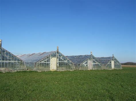 Greenhouses for grapes | Few of them left now, due to compet… | Flickr